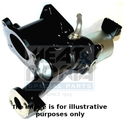 EGR Valve